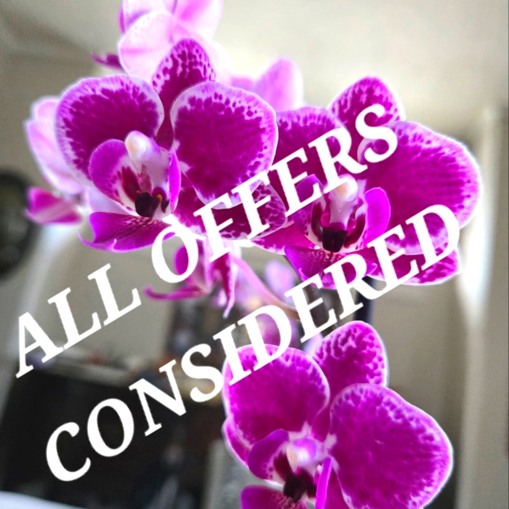 Offers